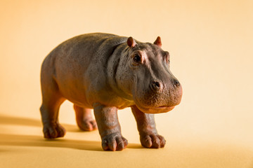 hippopotamus figure isolated on red background