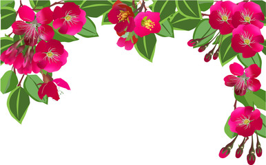 half frame from dark pink flowers and green leaves on white