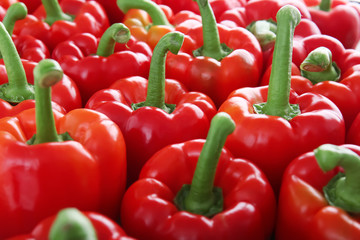 Many ripe red peppers, closeup