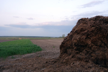 Big pile of manure