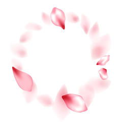 Obraz na płótnie Canvas Pink sakura flower flying petals isolated on white vector background.