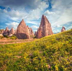 Sunny spring scene of Cappadocia. Picturesque morning view of of Red Rose valley in April. Cavusin...
