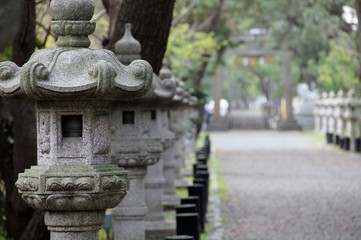 Obraz premium 神社の参道