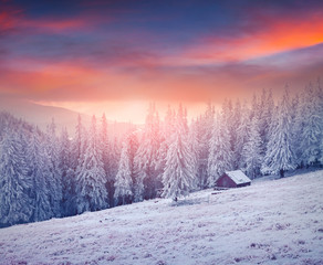 Misty winter sunrise in mountain farm with snow covered fir trees. Colorful outdoor scene, Happy New Year celebration concept. Artistic style post processed photo.
