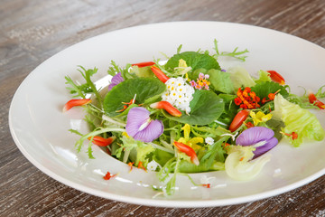 Fresh spring greens and edible flowers salad