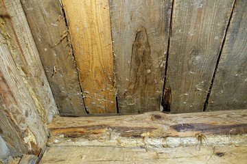Wooden wall background. Old tree and logs