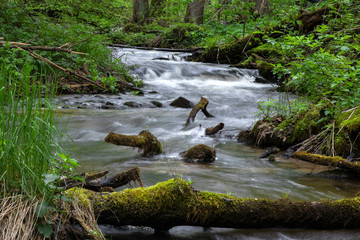 Naklejka na ściany i meble Mountain stream, River deep in mountain forest, Mountain creek cascade with fresh green moss on the stones