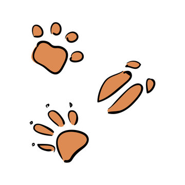 Vector set of animal tracks. sketch style. wolf, fox, boar, bear