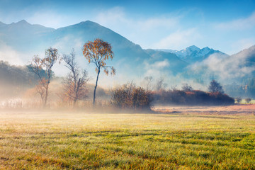 Foggy morning scene near Zell lake. Sunny autumn view of Austrian Alps, with Grossglockner peak on...