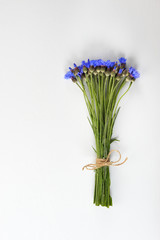 Blue Cornflowers on white  background.