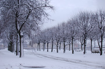 Beautiful snow-covered alley in St-Petersburg, Russia