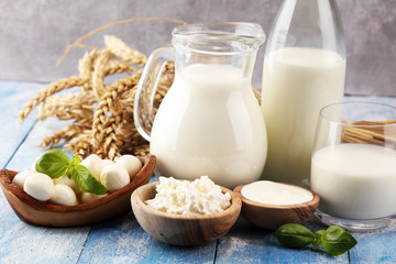 milk products. tasty healthy dairy products on a table. sour cream in a white bowl, cottage cheese bowl, cream in a a bank and milk jar, glass bottle and in a glass