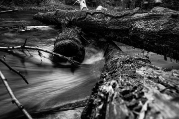 Mountain stream, River deep in mountain forest, Mountain creek cascade with fresh green moss on the stones