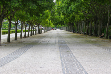 City park and gardens in Lisbon, Portugal