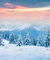 Fotobehang Blauwe hemel Beautiful winter sunrise in the Carpathian mountains.  © Andrew Mayovskyy