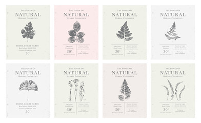 Set of customizable vintage label of Natural organic herbal products.