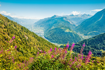 Obrazy na Szkle  Słoneczny letni widok miasta Martigny. Wielki poranek scena Alp Szwajcarskich, kanton Wallis w Szwajcarii, Europie. Piękno natury koncepcja tło.