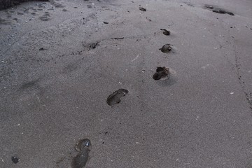 footprints in the sand