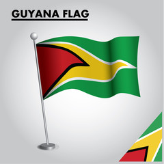 GUYANA flag icon National flag of GUYANA on a pole