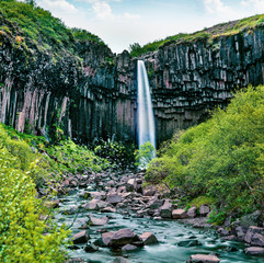 Picturasque morning view of famous Svartifoss (Black Fall) Waterfall. Great summer scene in...