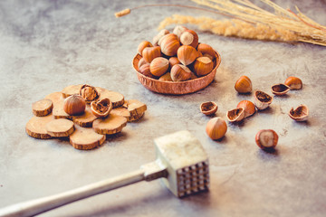 Hazelnuts in the shell in a small bowl and nutcracker. On a gray background. Tone.
