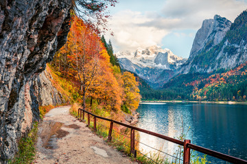 Splendid autumn scene of Vorderer ( Gosausee ) lake with Dachstein glacieron background. Picturesque morning view of Austrian Alps, Upper Austria, Europe. Traveling concept background. - obrazy, fototapety, plakaty
