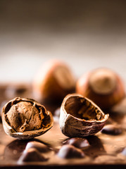 Dark chocolate with hazelnuts in the shel on gray backgroundl, closeup.