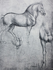 Sketch of horse, pencil drawing in a vintage book Leonard de Vinci, author A. Rosenberg, 1898, Leipzig © wowinside