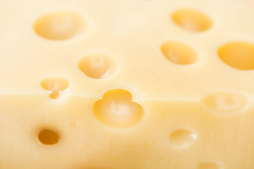 close up view of fresh yellow cheese with wholes