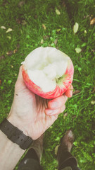 Bitten ripe red apple in male hand