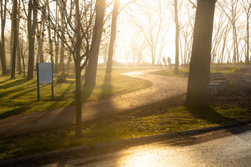 Morning springtime park at sunrise with sun light rays and distant cyclists silhouette riding on a bike path
