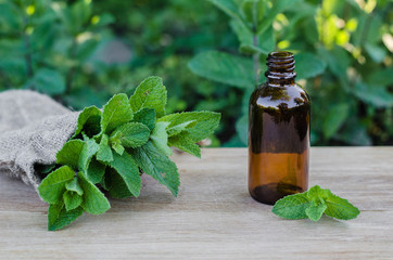 Natural Mint Essential Oil in a Glass Bottle with Fresh Mint Leaves