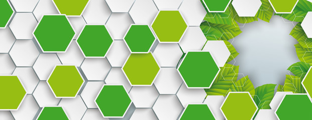Obraz na płótnie Canvas Colored Hexagon Structure Green Leaves Header