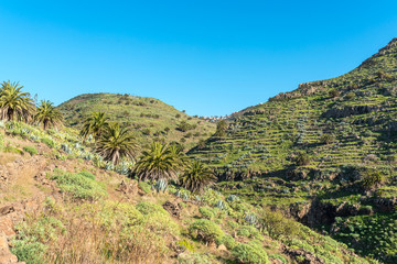 Fototapeta na wymiar The hill country of La Gomera. On the hiking trail from the village El Cercado down the Argaga ravine to the Valle Gran Rey 