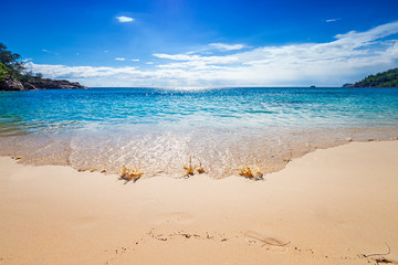 Wave on golden shore of tropical sandy beach