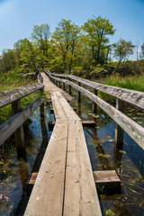 Fototapeta na wymiar footbridge in the woods to an island on a pond