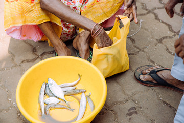 close up shot of indian lady selling fish to a man