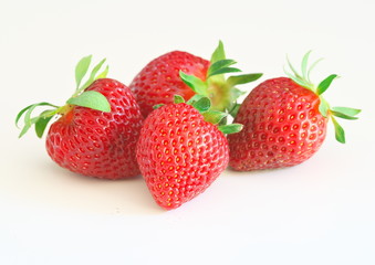 イチゴ　白バック