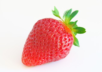 イチゴ　白バック