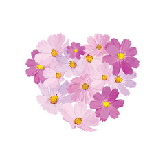 Vector decorative print in heart shape. Natural ornament with cosmea flowers. Floral pattern