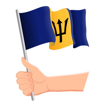 Hand holding and waving the national flag of Barbados. Fans, independence day, patriotic concept. Vector illustration, eps 10.