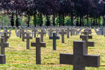 A lot of small, concrete crosses at the German war cemetery in the Netherlands.