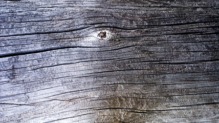 Obraz premium Detail of dry tree trunk with knots and cracks