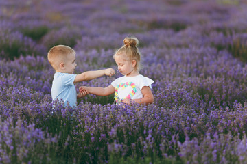 Playful little cute couple boy girl walk on purple lavender flower meadow field background, have fun, play, enjoy good sunny day. Excited small kids. Family day, children, childhood lifestyle concept.