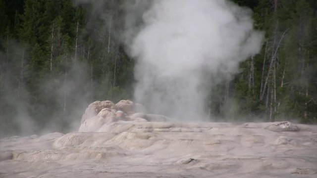 Gazer Yellowstone National Park Daylihgt shot of Gazer at Yellowstone National Park