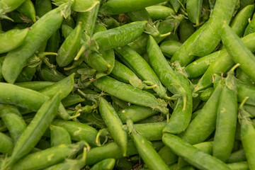 The green peas in the vegetable garden.