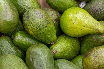 Green Avocados background on the market.