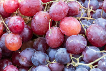 Macro of fresh red grapes with water drops
