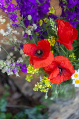 Obraz premium Bouquet of wilfd flowers, poppies, daisies, violets