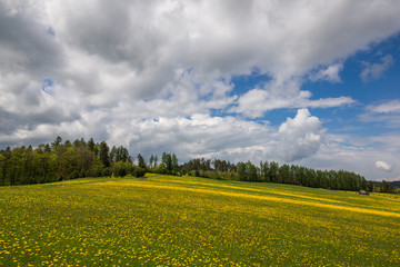 Spring meadow in Niedzica, Malopolskie, Poland